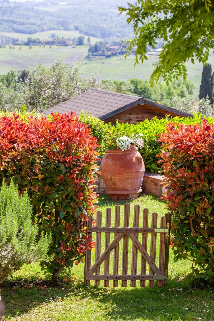 Giardino